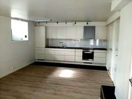 Ferdig renovert leilighet med kjøkken